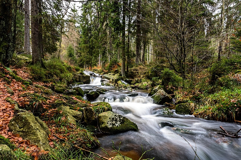 Bachlauf